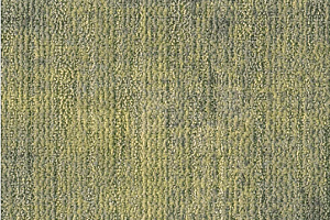 Ковровая плитка Milliken Change Agent - Europe com 163-173-103 Secret Recipe фото  | FLOORDEALER